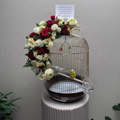 عصافير الحب