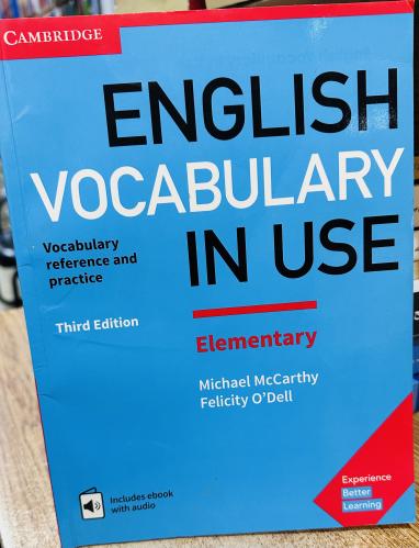 English vocabulary in use elementary michael McCar...