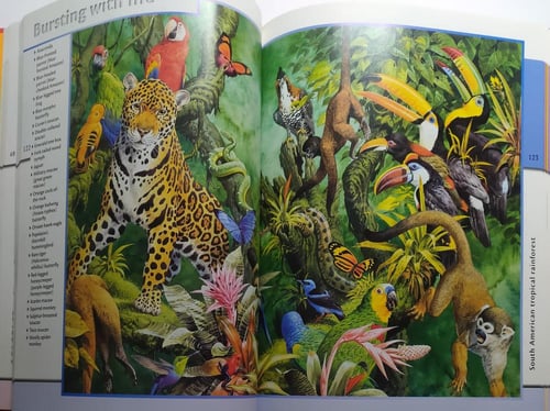Animal Kingdom. hardcover. 251 page. big size
