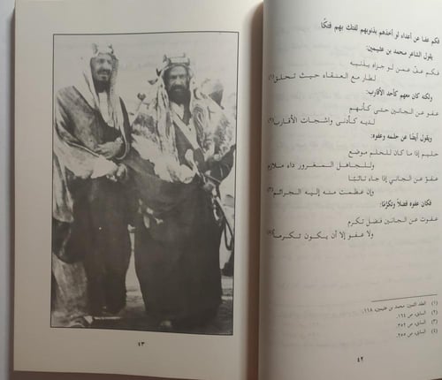 صقر الصحراء في رياض الشعر والشعراء . تأليف : اسماع...