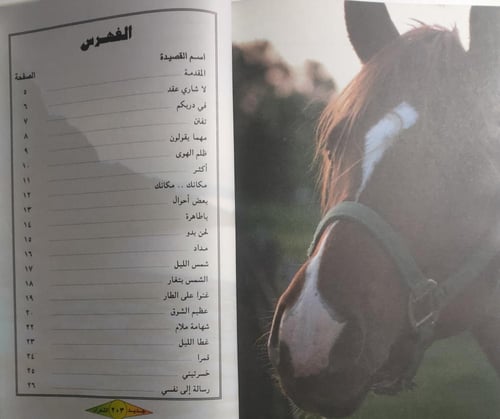 ديوان جديد الشعراء . إعداد : بندر الرشود . الصفحات...