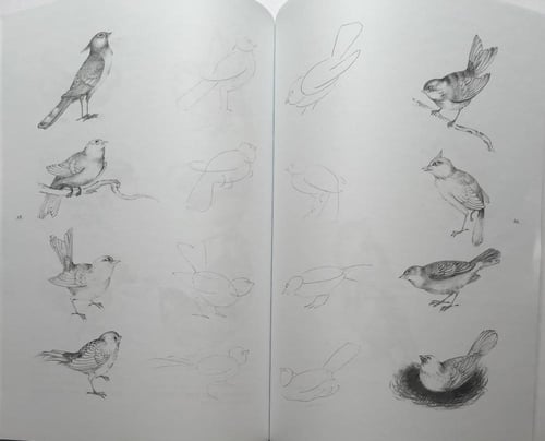 كتاب رسومات فنية باللغة الفارسية