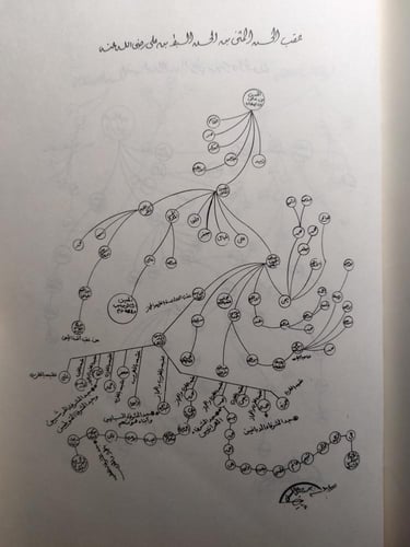 العقود اللؤلؤية في بعض أنساب الأسر الحسينية الهاشم...