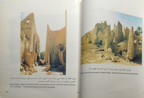 إمتداد قصر سلوى وقصر عبدالله بن سعود . حي الطريف -...