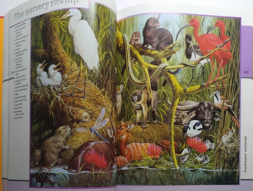 Animal Kingdom. hardcover. 251 page. big size