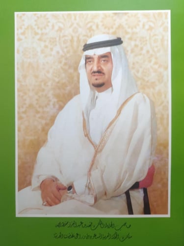 النظافة في مدينة الرياض . الصفحات 214 صفحة من الحج...