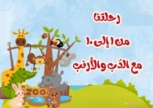 الأرقام مع الدُب والأرنب