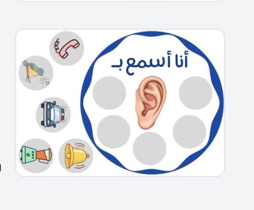 بطاقات ونشاط الحواس الخمس