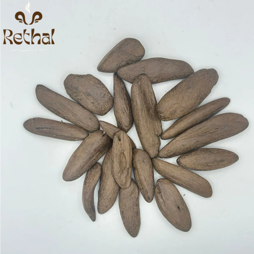 عود الشيوخ
