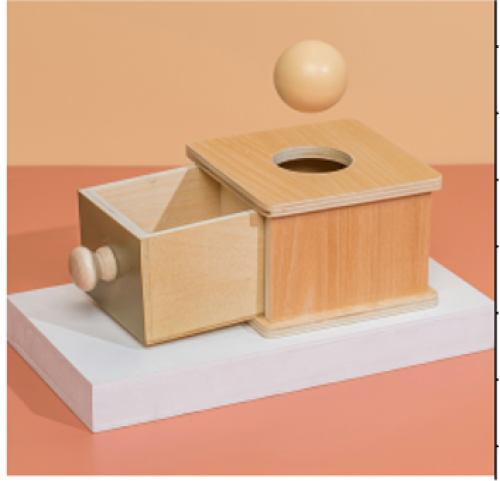 صندوق بقاء الكرة