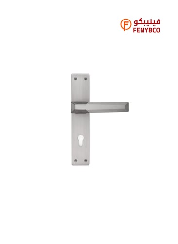 مقبض باب بليت DA H9925 MSN/MBN رمادي × فضي