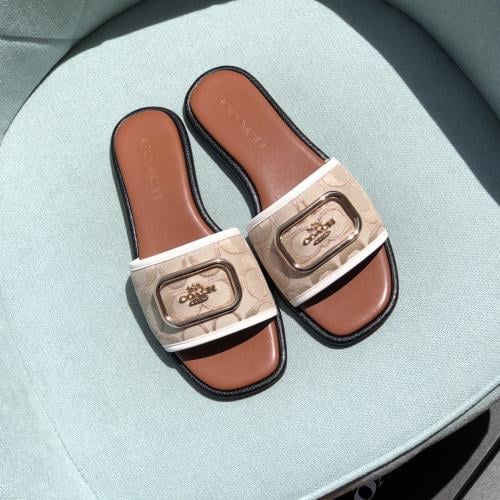 سليبر كوتش سكري