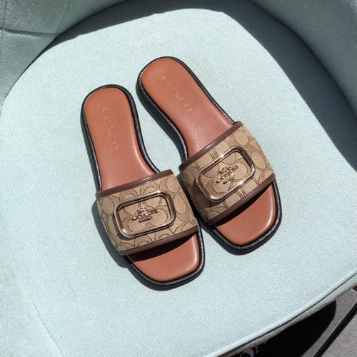 سليبر كوتش بني