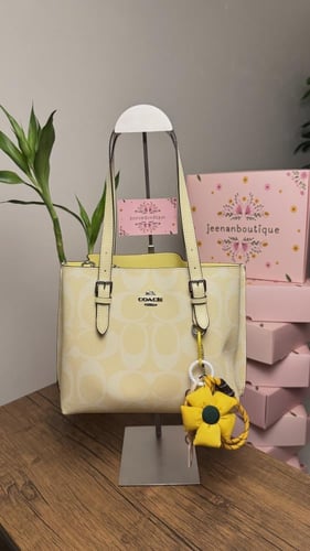 توت باق كوتش صيفي