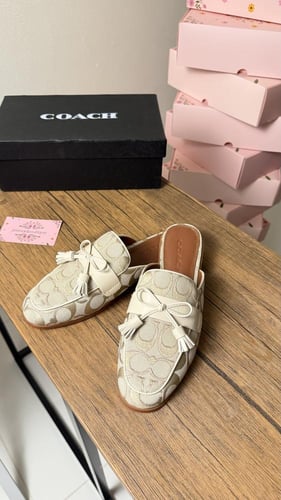 حذاء فلات كوتش