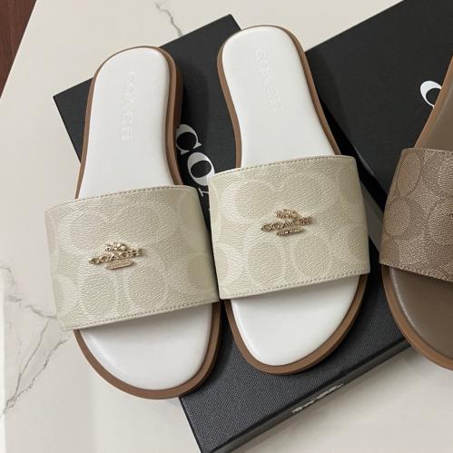 سليبر كوتش وايت