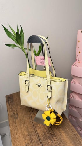 توت باق كوتش صيفي