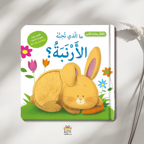 كتابي الأول... عالمي الجميل