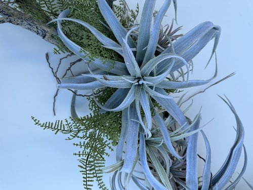 زينه للطاولة بطول ١،٢٠