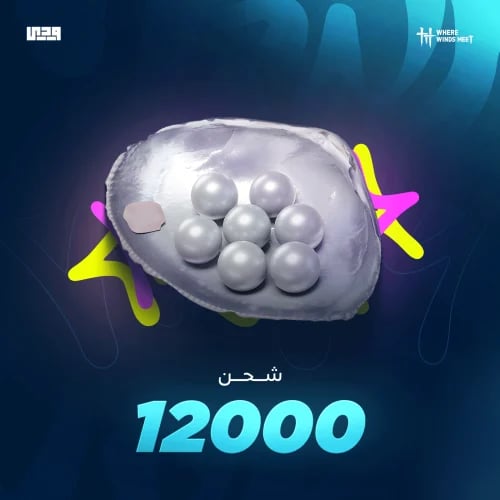12000 ايكو وير ويند ميت where winds meet