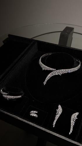 Elegant feminine set