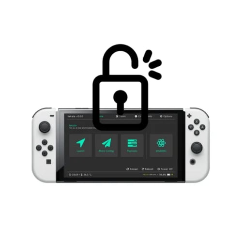 Nintendo Switch OLED device modification service