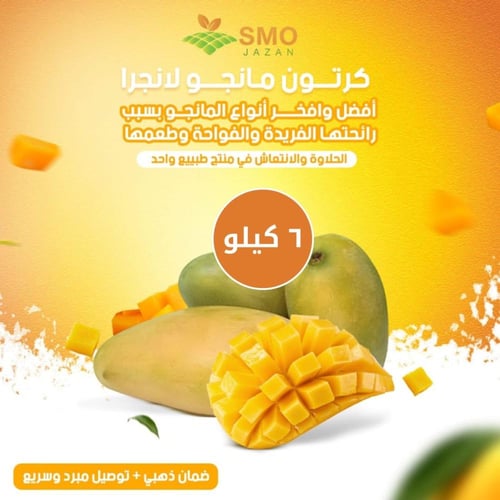 مانجو لانجرا كرتون ٦ كيلو