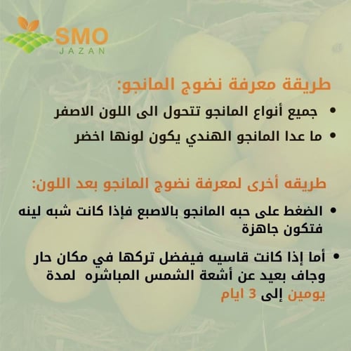 مانجو زبده هندي كرتون ٦ كيلو