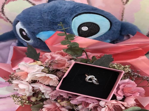 باقة فراشة ستيتش