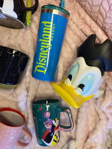 مق ديزني لاند