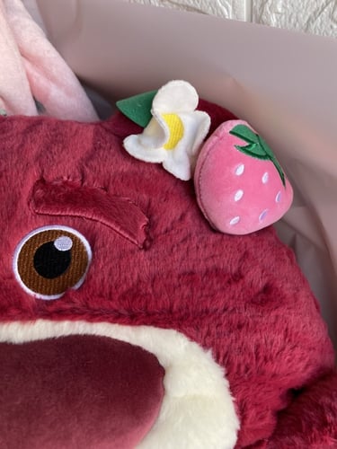 بوكس الشتاء لوتسو