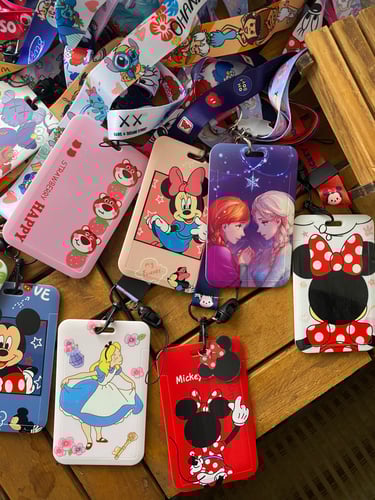 كارد هولدر فروزن