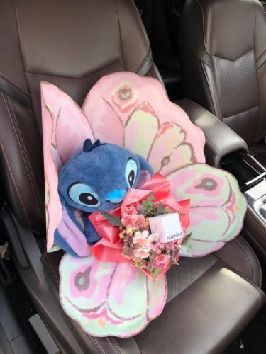 باقة فراشة ستيتش