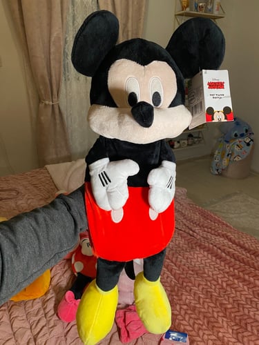 كمادة و دمية ميكي ماوس