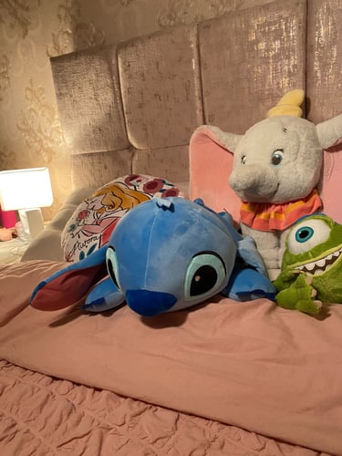 بطانية و مخدة ستيتش