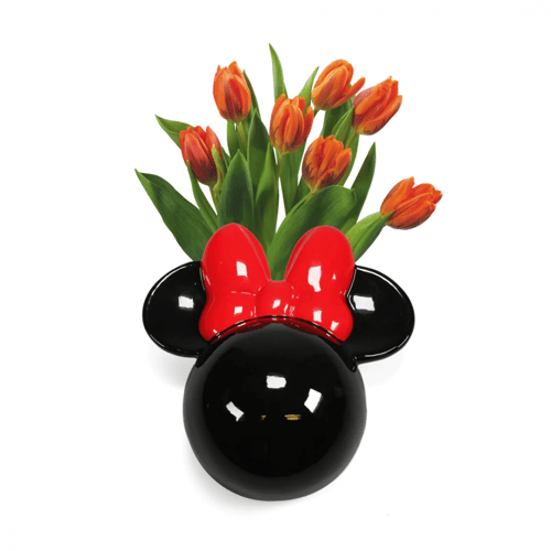 حامل زرع ميني للحائط