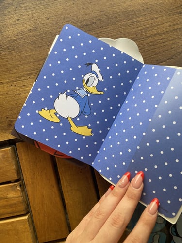 نوت بوك بطوط