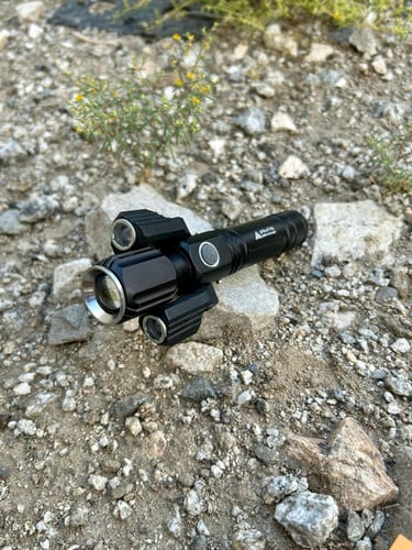 كشاف عقارب رواد البوادي