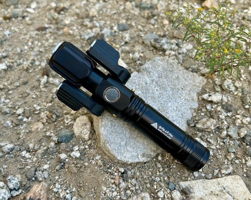 كشاف عقارب رواد البوادي