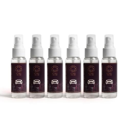 بكج معطر سيارات ناعم