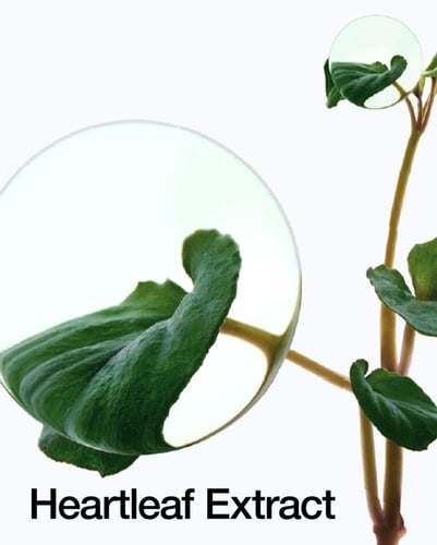 زيت تنظيف الوجه الكوري للتحكم في المسام من هارت لي...