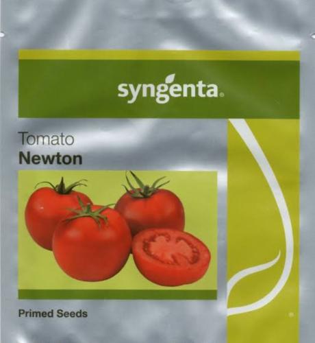 بذور طماطم نيوتن عبوة إقتصادية (50 بذرة)