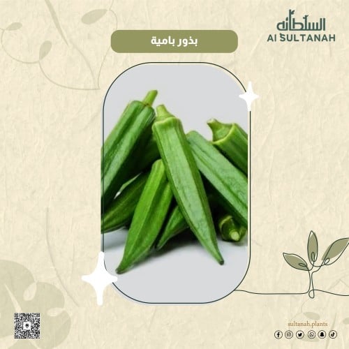 بذور باميا أبو غزال
