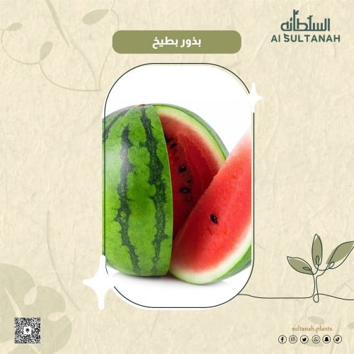 بذور بطيخ أحمر Citrullus lanatus