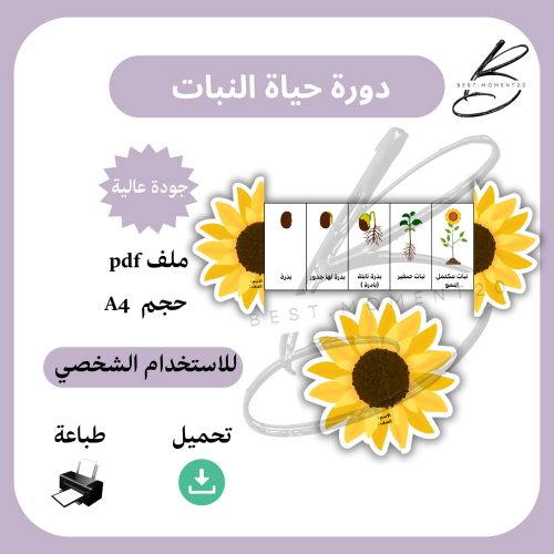 علوم مراحل نمو النبات ( دورة حياة النبات)