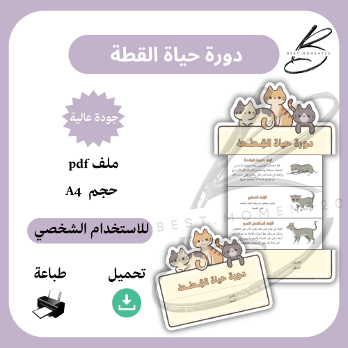 دورة حياة القطة