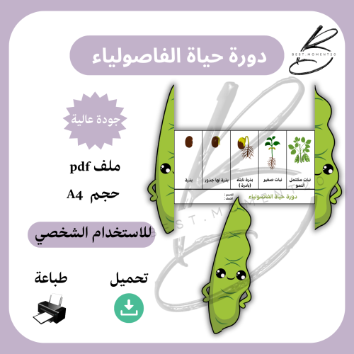 دورة حياة الفاصولياء