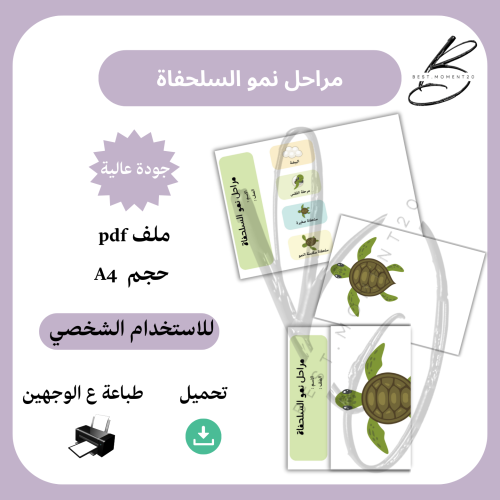 مراحل نمو السلحفاة