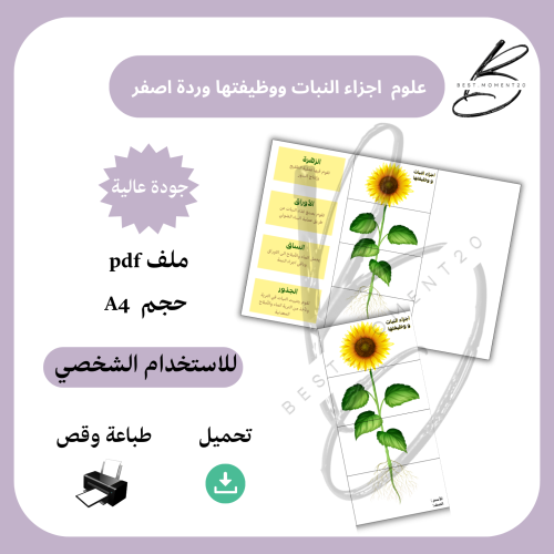 اجزاء النبات ووظيفتها ورد اصفر