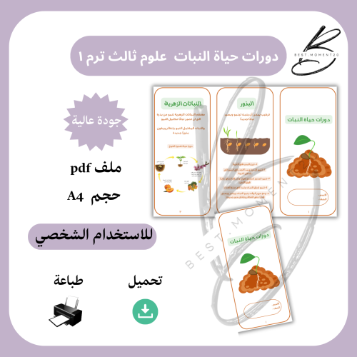 دورات حياة النبات علوم ثالث ترم ١